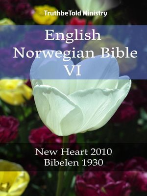 cover image of English Norwegian Bible VI